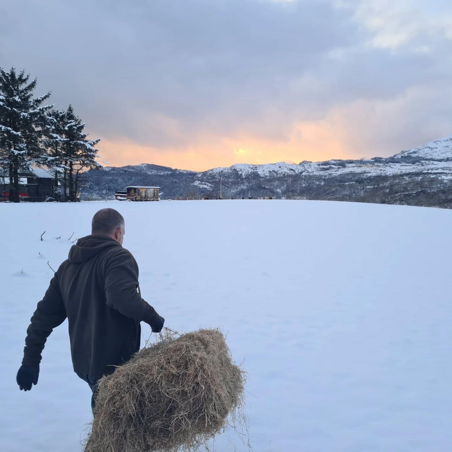 Keeping everyone fed through the cold snap